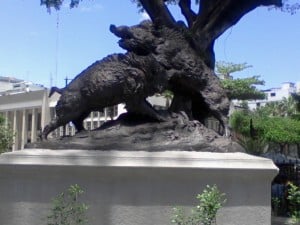 Photo-0007 (3)