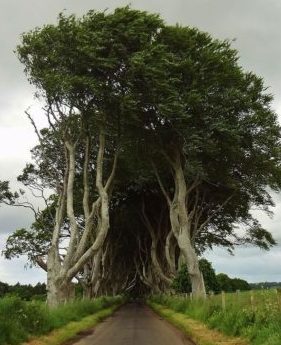 Paysages d’Irlande