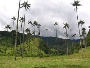 84234324 p Quiz Colombie pour mieux vivre en société!