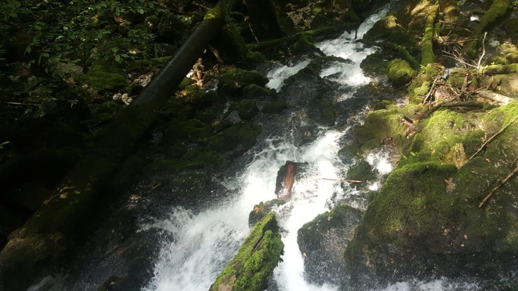 20210813 140535 Cascades des Tufs - Arbois