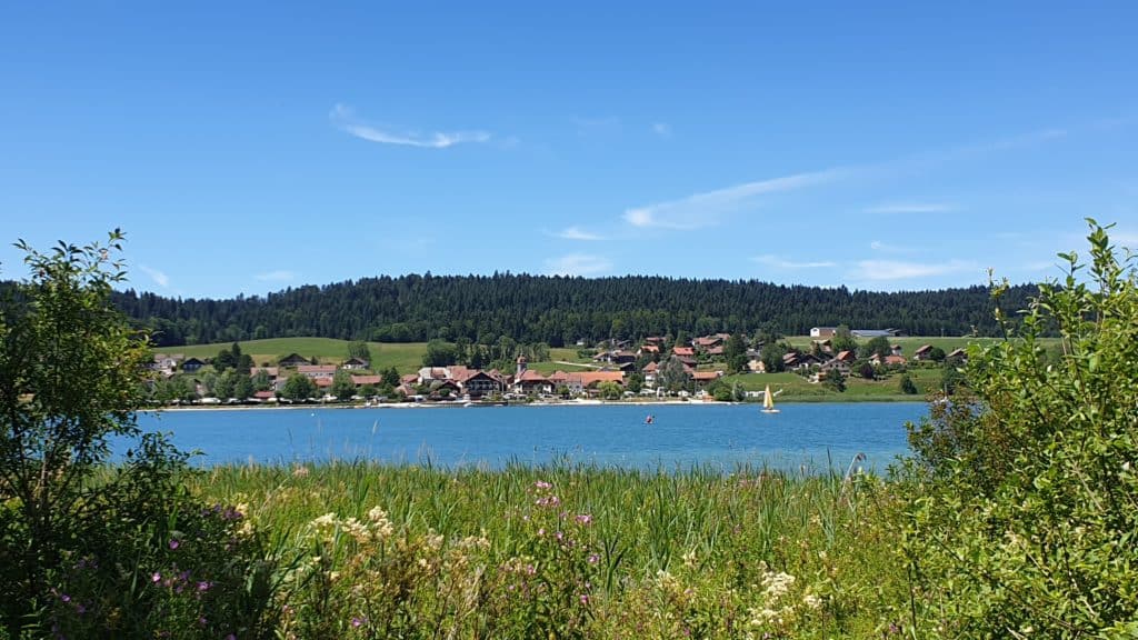 20220712 143817 Lac de Saint-Point et Château de Joux