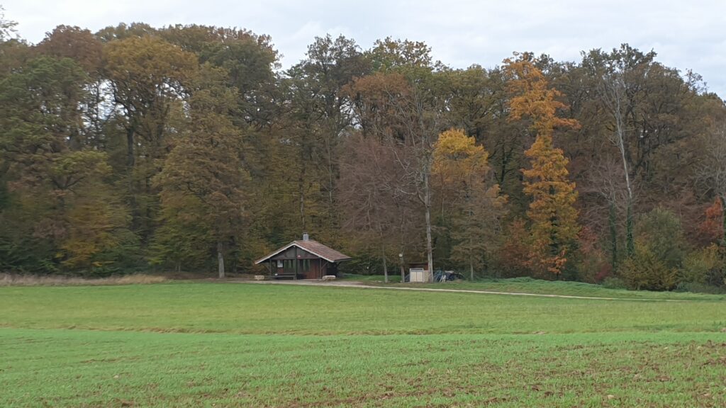 20231029 144635 La Ronde du Pâquis - Mandrevillars (70)