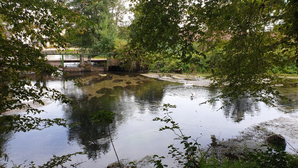 20230824 164430 Sentier de la Reigne à Magny-Vernois (70)