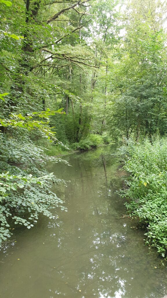 20230824 171026 Sentier de la Reigne à Magny-Vernois (70)