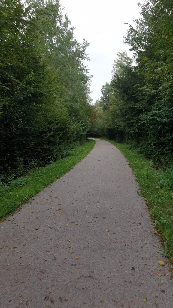 20230824 173112 Sentier de la Reigne à Magny-Vernois (70)