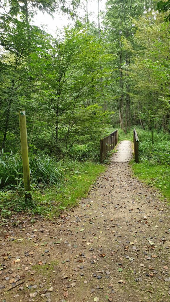 F4rrQsFWsAA1bxr Sentier de la Reigne à Magny-Vernois (70)