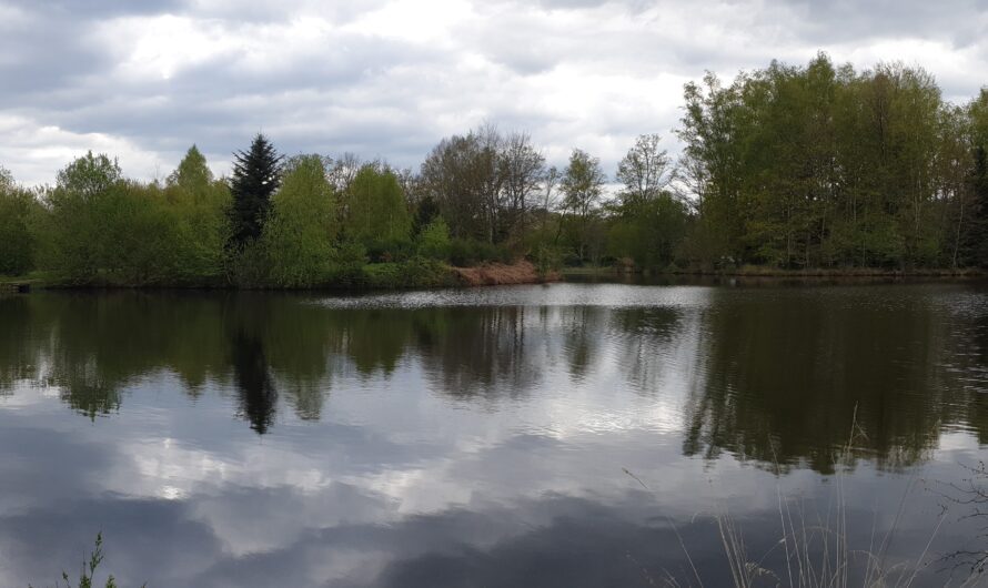 Écromagny – la Boucle des Époissets (70)