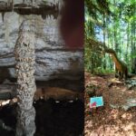 grotte prehisto
